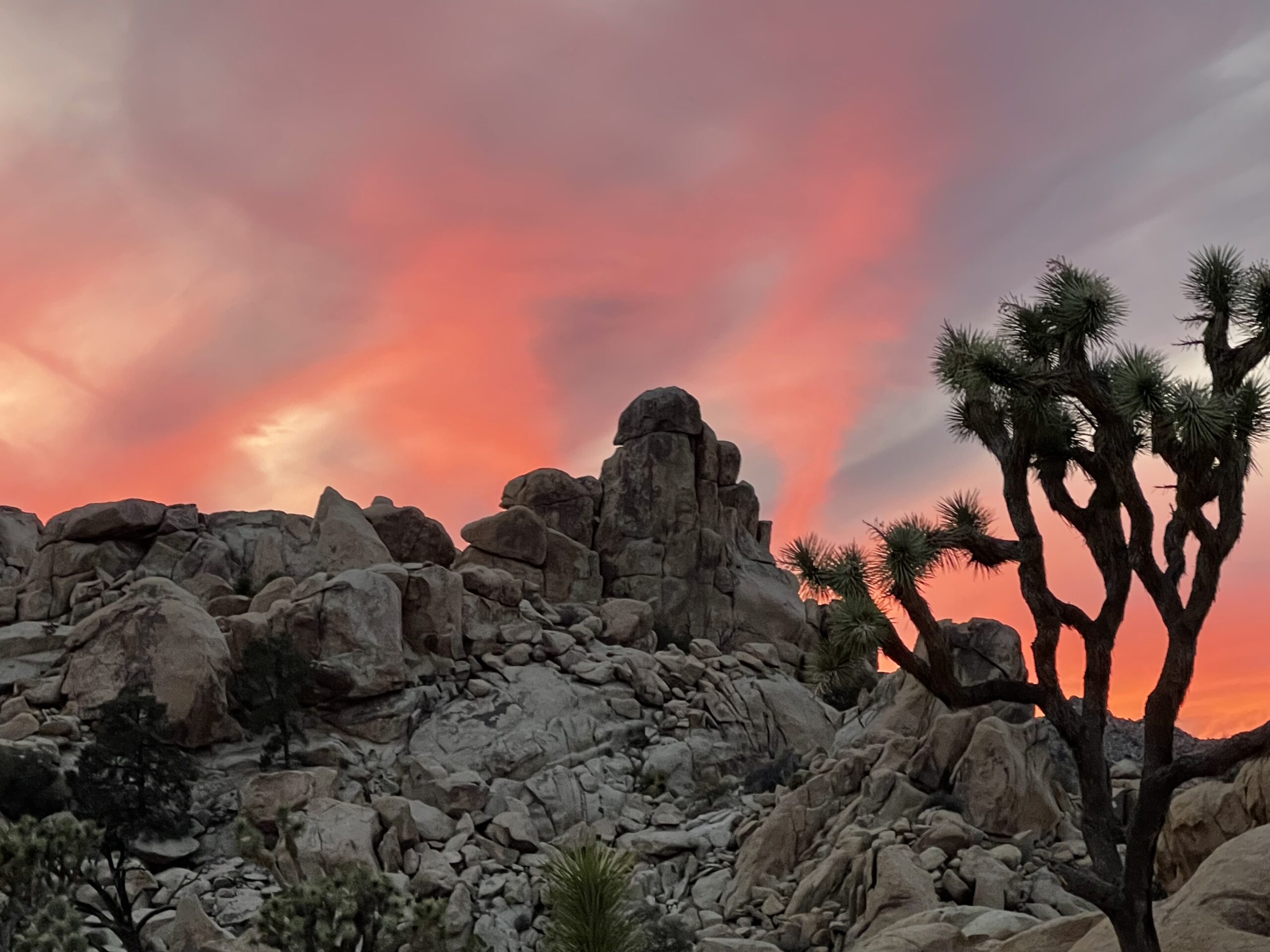 Joshua Tree Hotspots